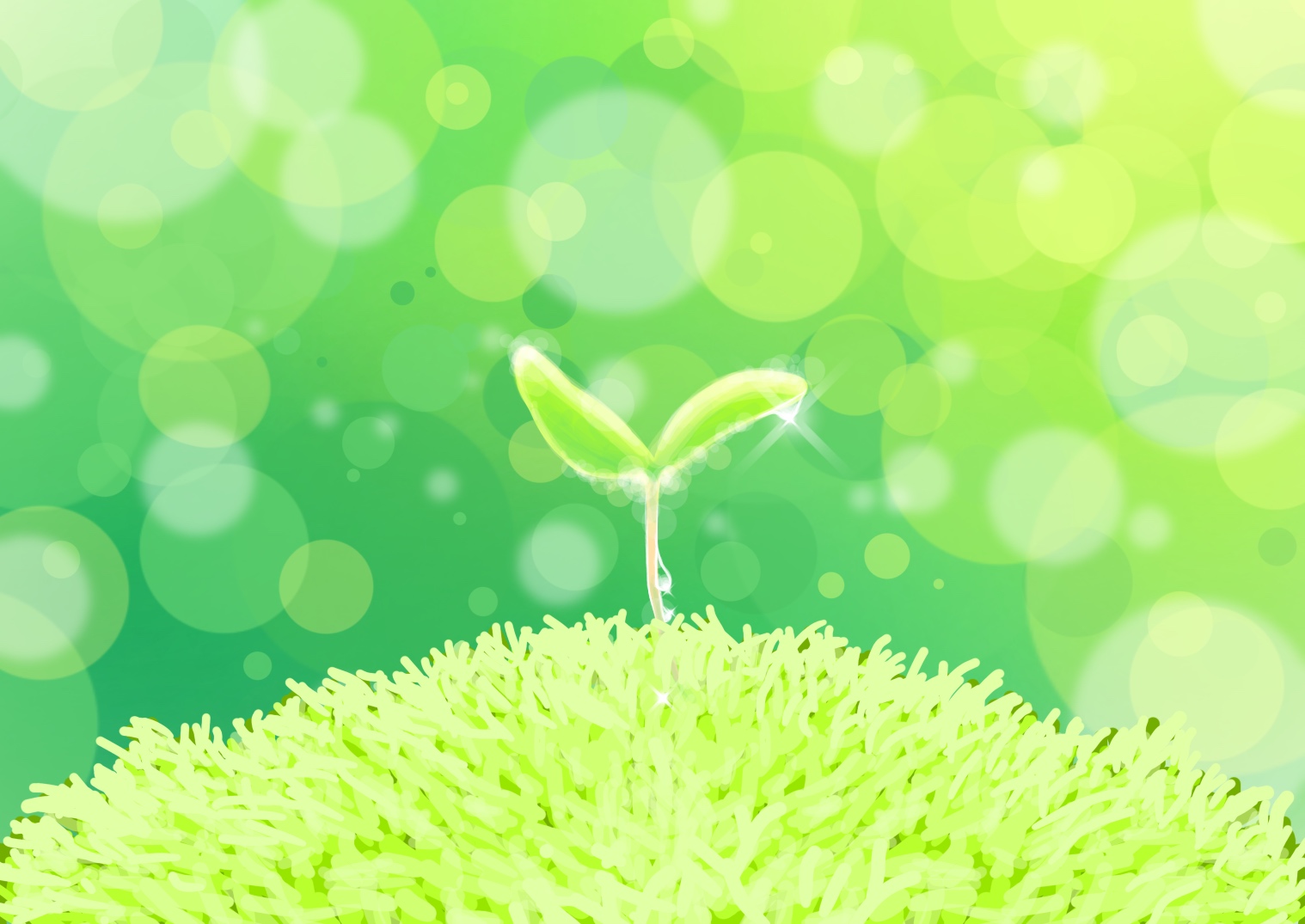 自律の前にある、迷っても大丈夫な関係